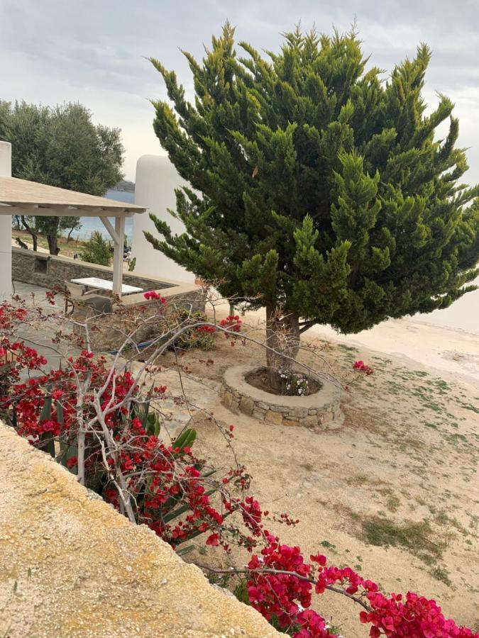 Vila The Elaia House Mykonos Ornos  Exteriér fotografie